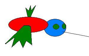 Mosquito